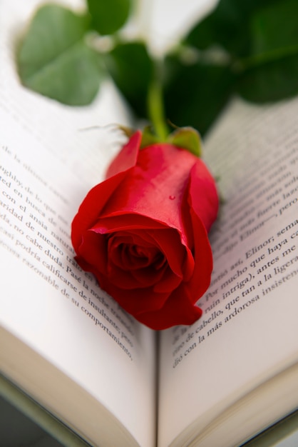 Photo gratuite nature morte de belles roses rouges pour la célébration de sant jordi