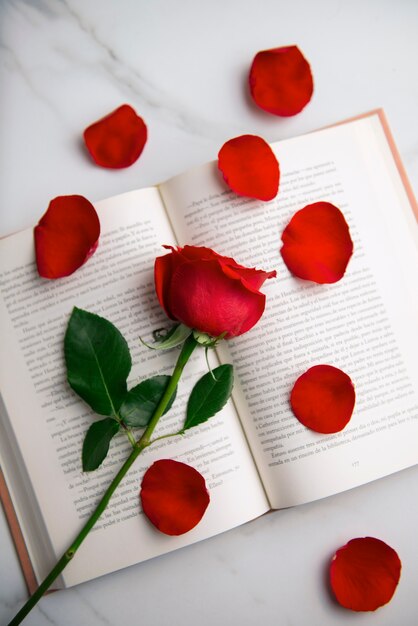 Nature morte de belles roses rouges pour la célébration de Sant Jordi