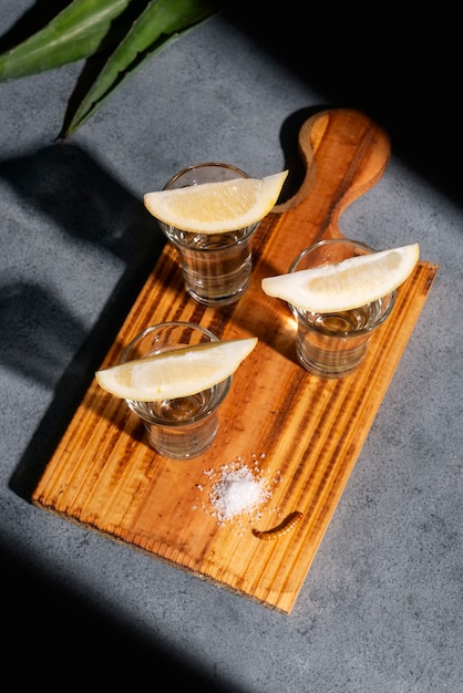 Photo gratuite la nature morte d'une boisson de mezcal avec du ver maguey