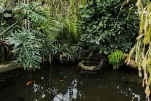 Photo gratuite nature morte avec concept de jardinage