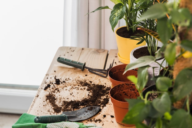 Photo gratuite nature morte avec concept de jardinage