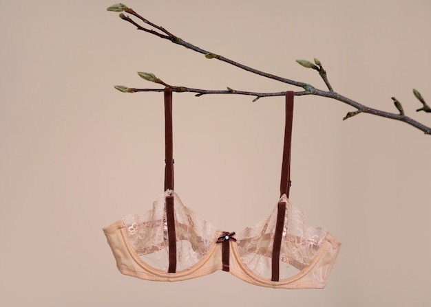 Nature morte de lingerie soutien-gorge