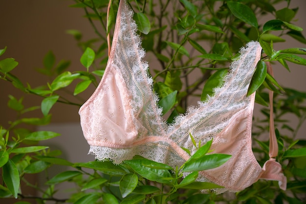 Photo gratuite nature morte de lingerie soutien-gorge