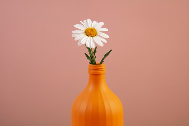 Nature morte de marguerites