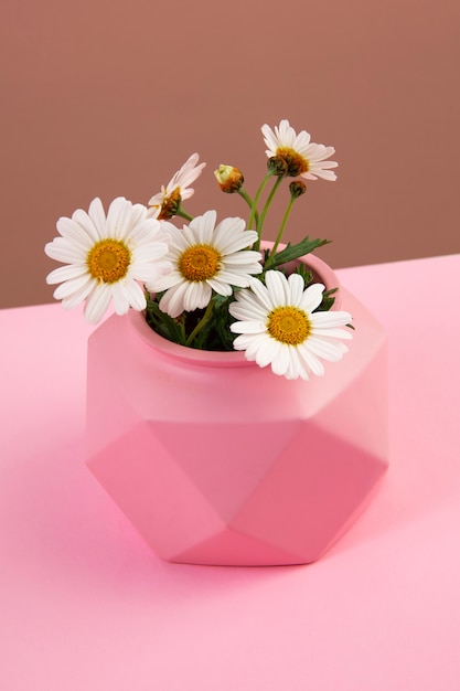 Photo gratuite nature morte de marguerites