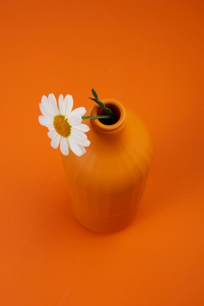 Nature morte de marguerites