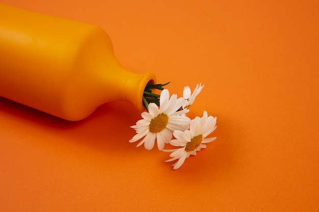 Nature morte de marguerites