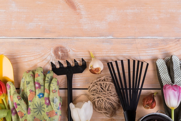 Nature morte avec des objets de jardinage