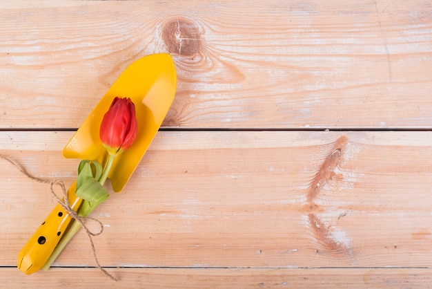 Nature morte avec des objets de jardinage