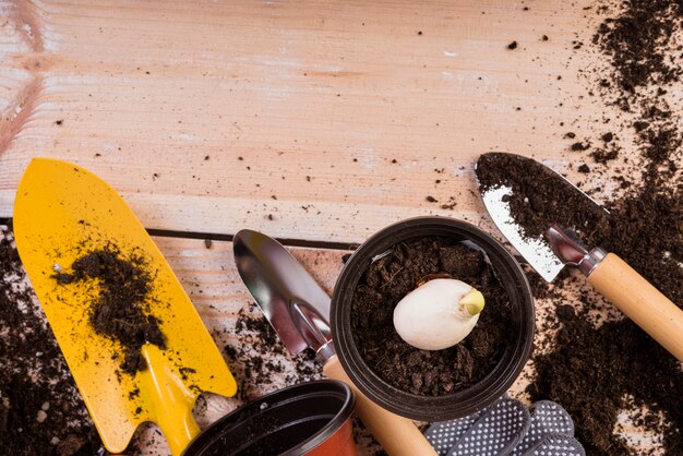 Nature morte avec des objets de jardinage