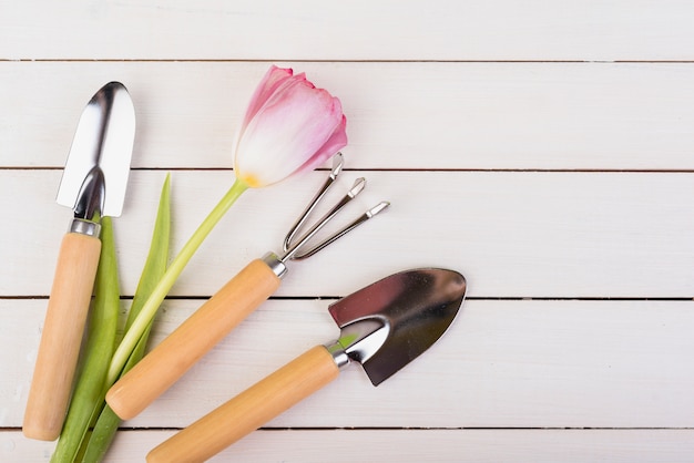 Photo gratuite nature morte avec des objets de jardinage