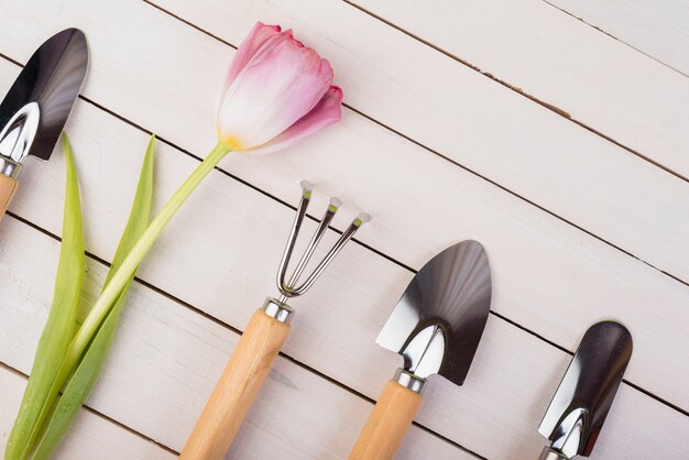 Nature morte avec des objets de jardinage