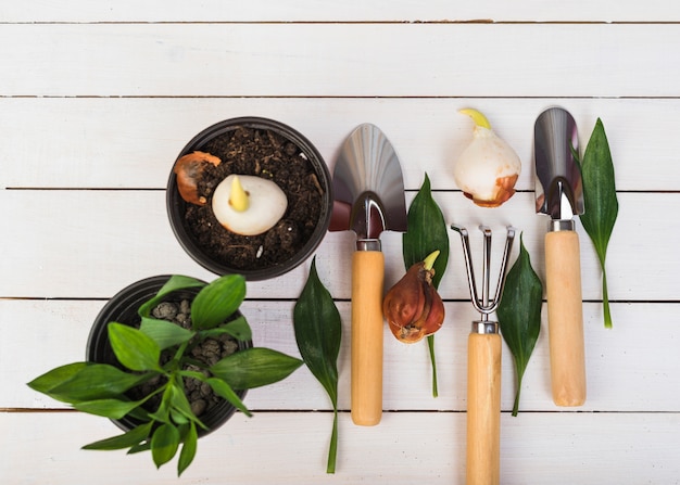 Nature morte avec des objets de jardinage