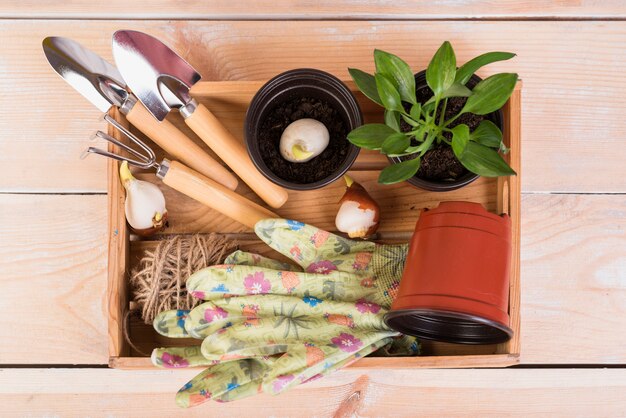 Nature morte avec des objets de jardinage