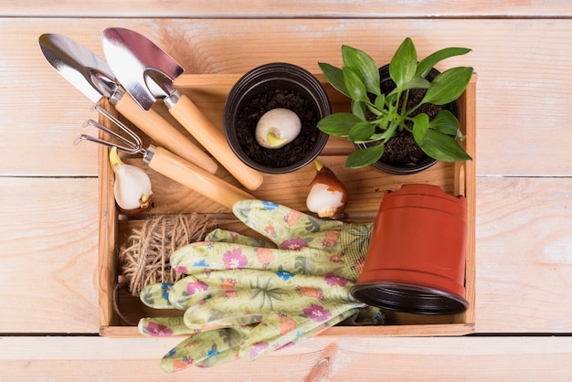 Nature morte avec des objets de jardinage