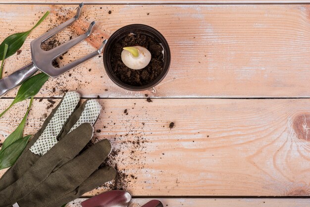 Photo gratuite nature morte avec des objets de jardinage