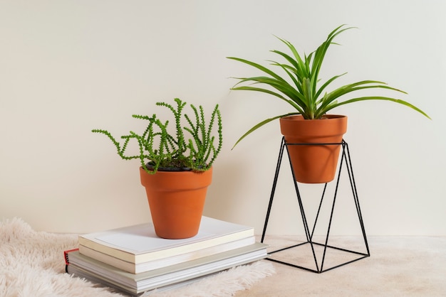 Photo gratuite nature morte avec des plantes d'intérieur