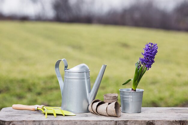 Nature morte de plantes et de jardins