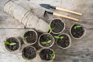 Photo gratuite nature morte de plantes et de jardins