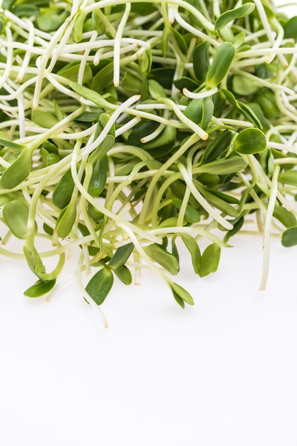 Photo gratuite la nature de la santé organique vert frais