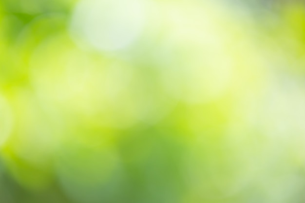 La nature verte et floue abstraite