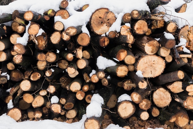 Neige sur bois de chauffage en hiver