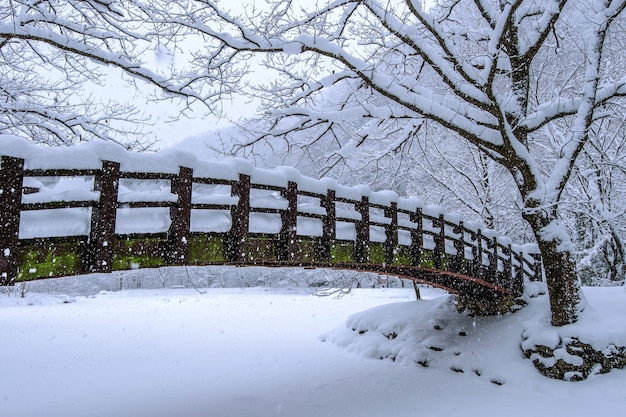 Photo gratuite la neige qui tombe dans le parc et un pont piétonnier en hiver, paysage d'hiver