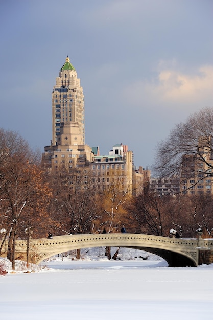 New York City Manhattan Central Park en hiver