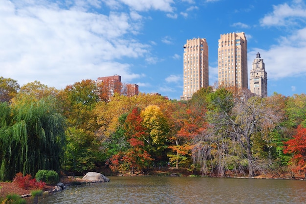 Photo gratuite new york manhattan central park