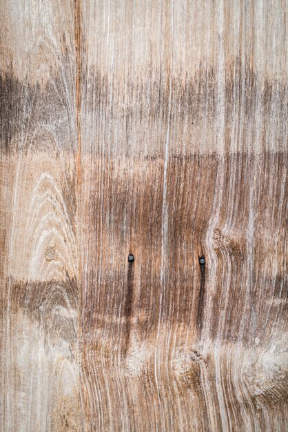 nœud d&#39;arbres sur une planche de bois vertical