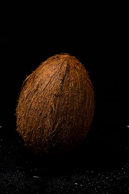 Noix de coco entière sur fond noir