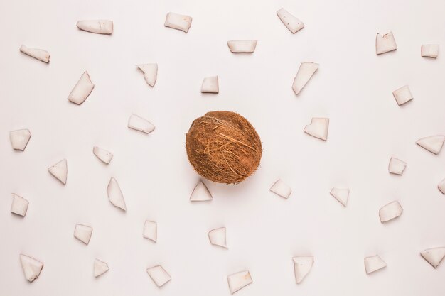 Noix de coco entière et hachée sur une surface blanche