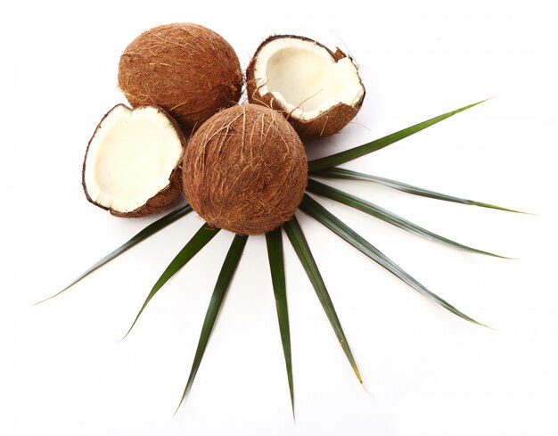 Noix de coco fraîche sur une surface blanche