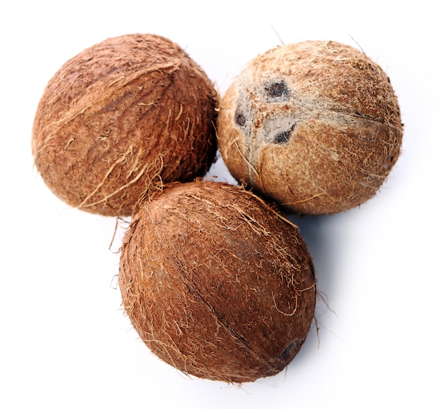 Noix de coco fraîche sur une surface blanche