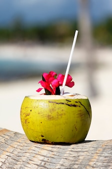 Noix de coco avec paille sur un palmier à la mer