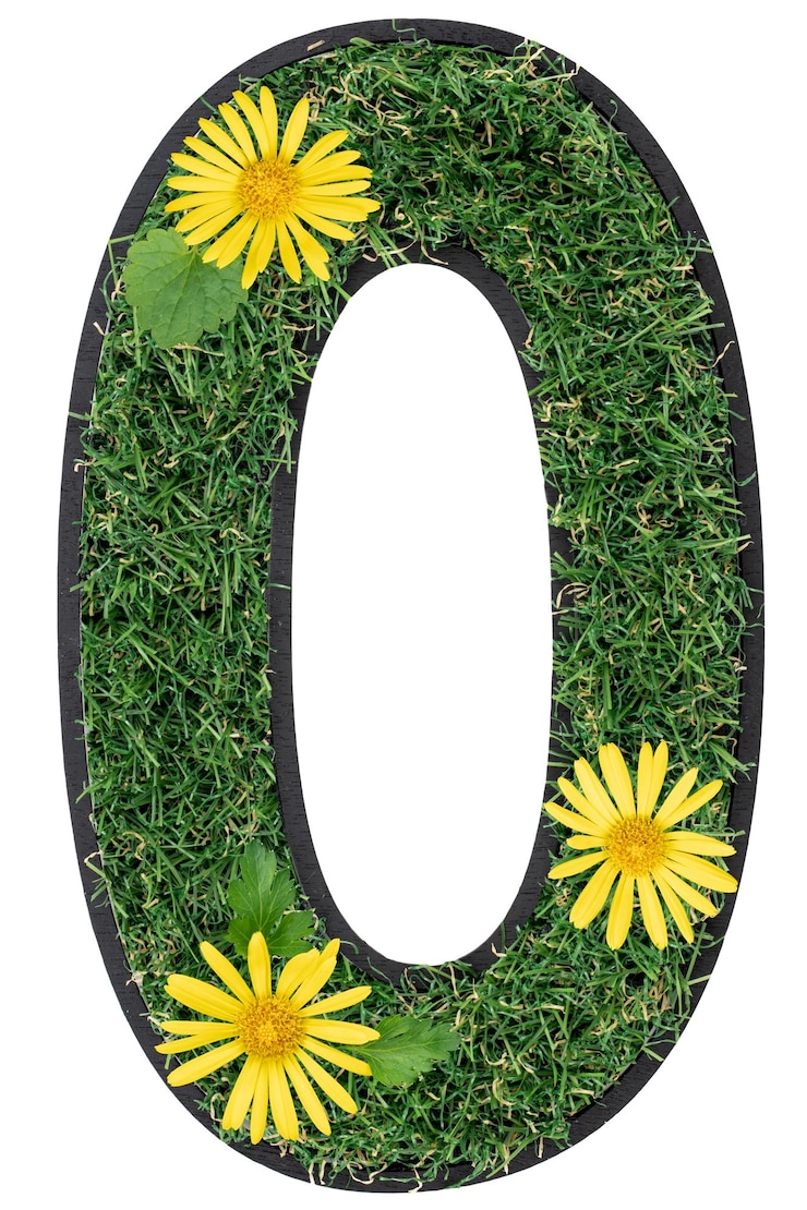 Photo gratuit nombre de fleurs et d'herbe isolées sur le blanc