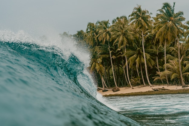 Énorme vague déferlante d'une mer et les palmiers dans les îles Mentawai, Indonésie