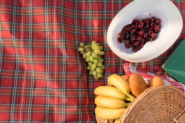 Photo gratuite nourriture sur une couverture de pique-nique