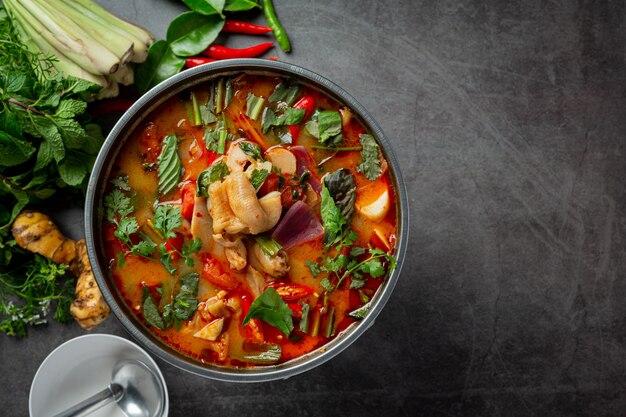 Nourriture thaï. soupe épicée aux tendons de poulet.