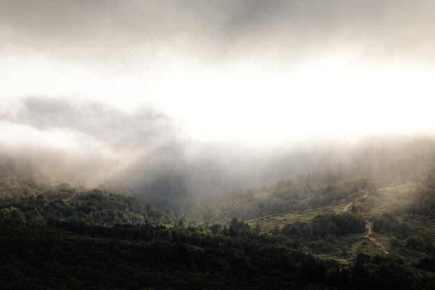 Nuages blancs jour brumeux