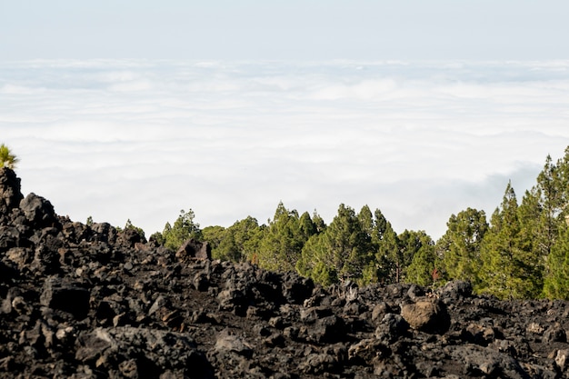 Photo gratuite nuages vus d'une montagne