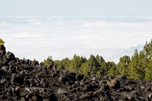 Nuages vus d'une montagne