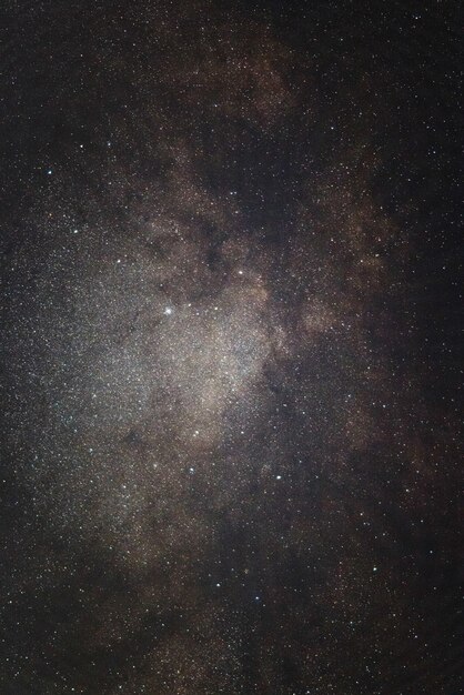 Nuit étoilée en noir et blanc