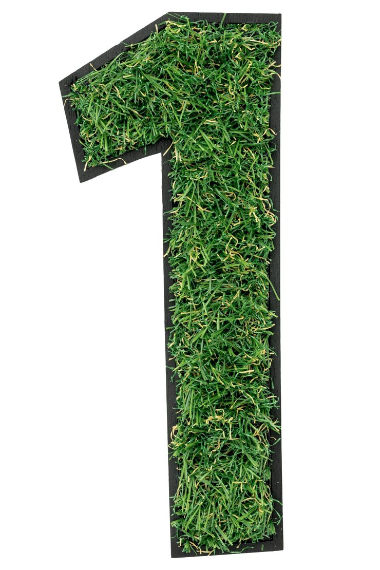 Photo gratuit numéro 1 fait d'herbe verte isolée sur blanc