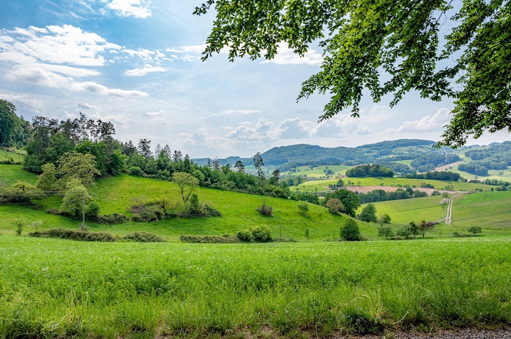 Photo gratuit l'odenwald en allemagne est la nature pure