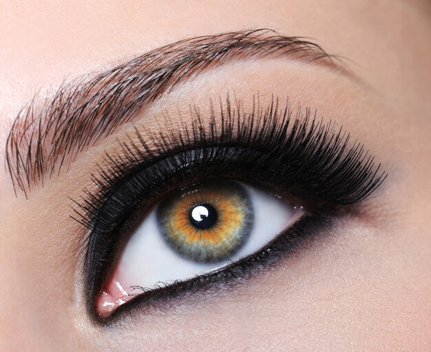 Oeil féminin avec maquillage noir brillant et longs cils