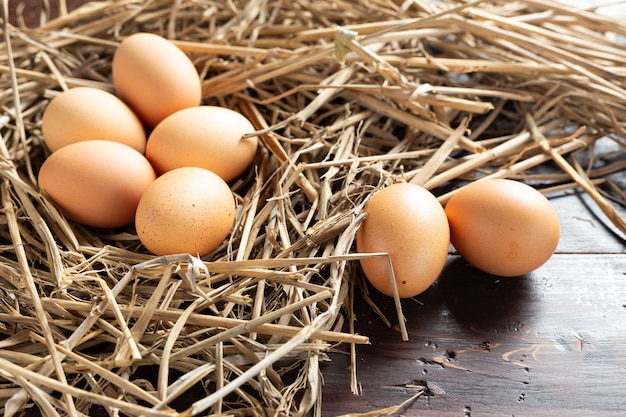 Oeuf frais de poulet.