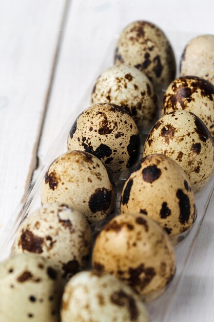 Oeufs de caille sur blanc