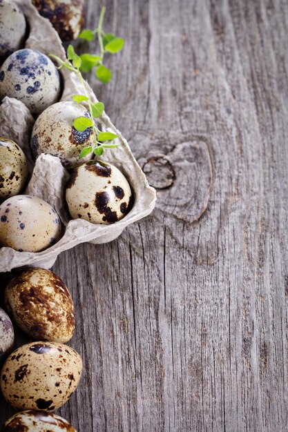 Oeufs de caille crus sur fond de bois