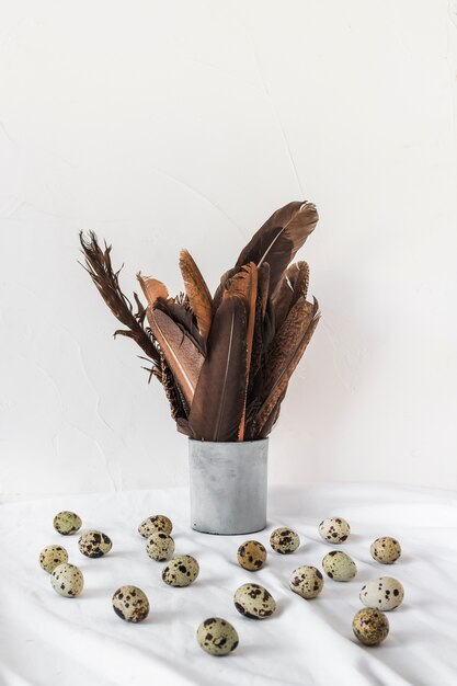 Photo gratuite oeufs de caille de pâques près de plumes noires en boîte sur textile